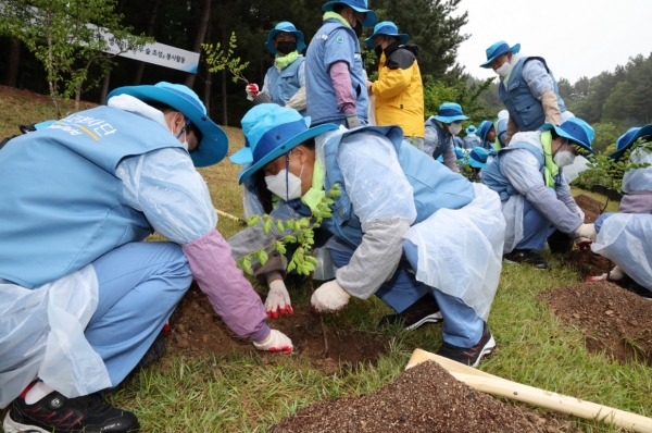 포스코 김학동 부회장(사진 가운데)이 14일 포항 환호공원에서 임직원과 함께 지역 생태 보전을 위해 모감주나무 묘목을 식재하고 있다. 사진=포스코