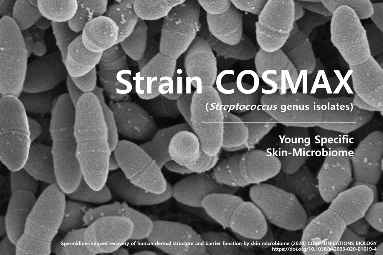 코스맥스는 2019년 세계 최초로 피부 유익균 배양액 ‘Strain-COSMAX’를 활용한 안티에이징 화장품을 세계 최초로 출시했다. 사진=코스맥스