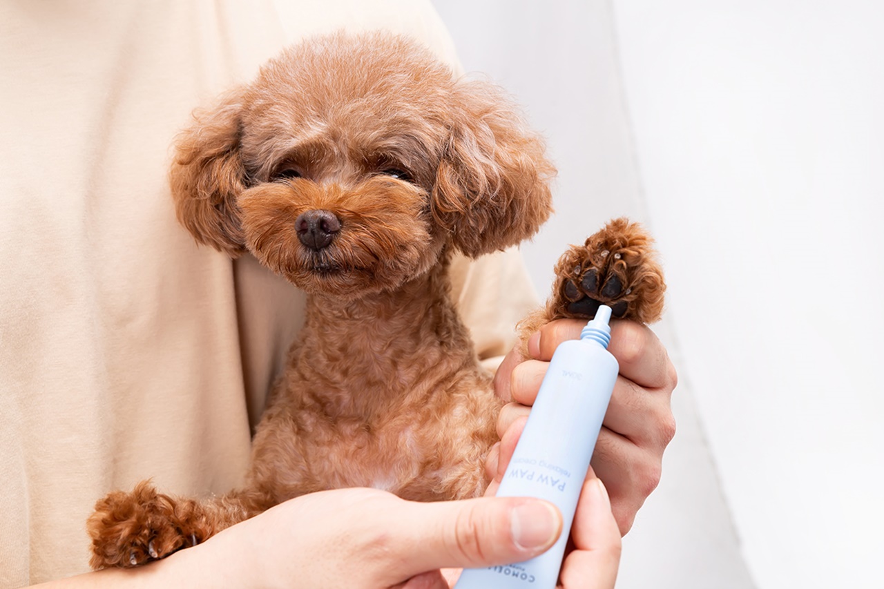 '포포 릴렉싱 크림'은 산책 후 피부층이 사람보다 얇고 쉽게 건조해지는 강아지와 고양이를 위해 개발된 제품이다. 사진=에데니끄