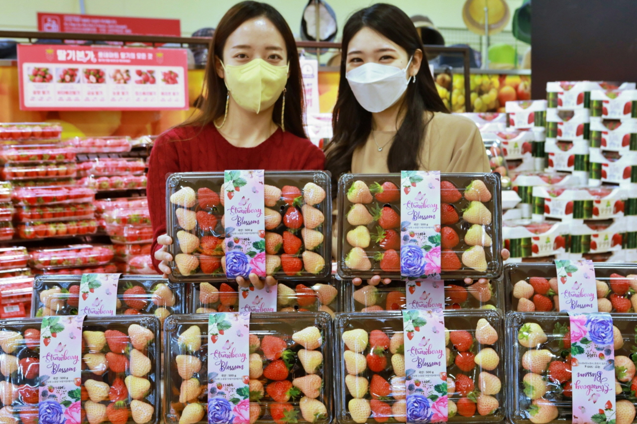 14일 서울 중구 봉래동에 위치한 서울역점에서 모델들이 'Strawberry Blossom'를 홍보하는 모습. 사진= 롯데마트